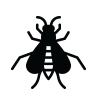 Wespen bestrijden icoon